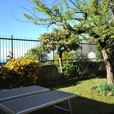 Gallo Hotel 3*